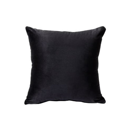ACME 56996 Heibero Loveseat with 2 Pillows, Black Velvet