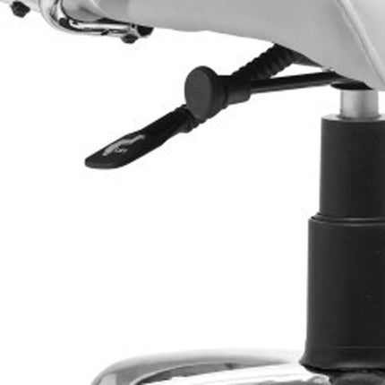 Black and Silver Adjustable Height Swivel Rolling Office Chair HomeRoots