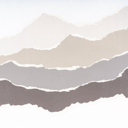 Torn Terrain I Gray Shadowbox Minimalistic Wall Art HomeRoots