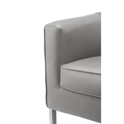 ACME 59811 Tiarnan Accent Chair, Vintage Gray PU & Chrome