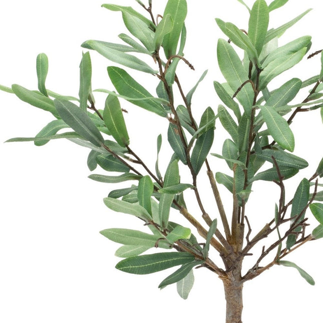 10" Green Artificial Olive In Round White Porcelain Pot HomeRoots