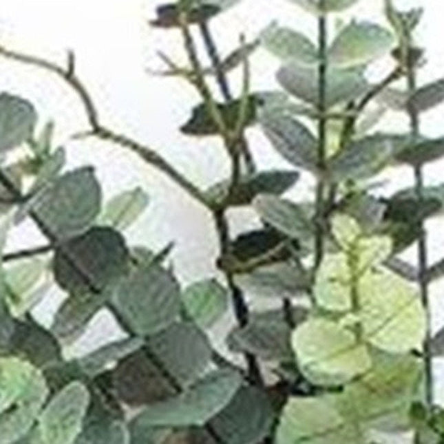 9" Green Artificial Eucalyptus HomeRoots