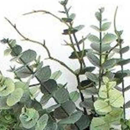 9" Green Artificial Eucalyptus HomeRoots