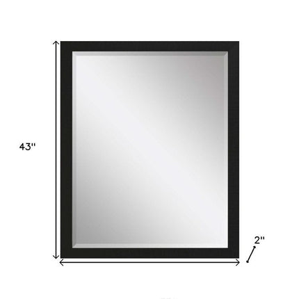 43" Black Framed Accent Mirror HomeRoots