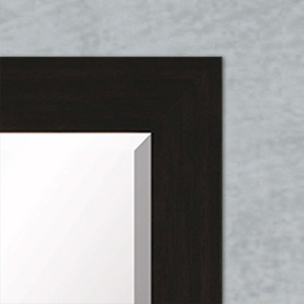 53" Dark Brown Accent Mirror HomeRoots