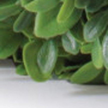 6" Green Artificial Foliage HomeRoots