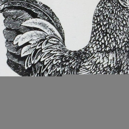 8" Black And White Metal Farm Fresh Chicken Decorative Jug HomeRoots