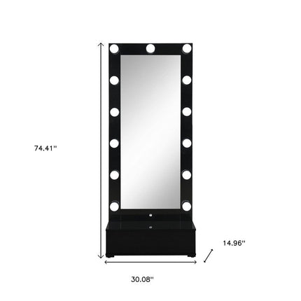 74" Black Wood Lighted Freestanding Framed Full Length Mirror HomeRoots
