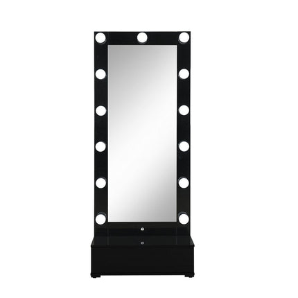 74" Black Wood Lighted Freestanding Framed Full Length Mirror HomeRoots