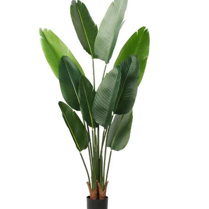 63" Green Artificial Banana Leaf Tree In Cylindrical Black Cement Pot HomeRoots