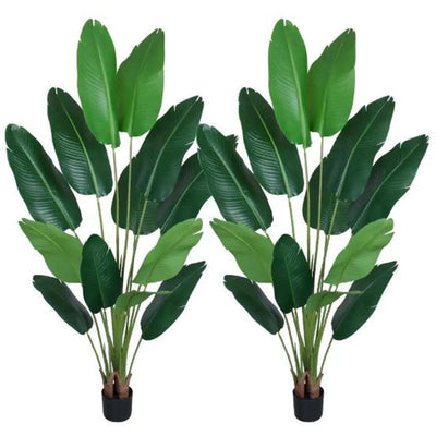 Artificial Plants &amp; Trees