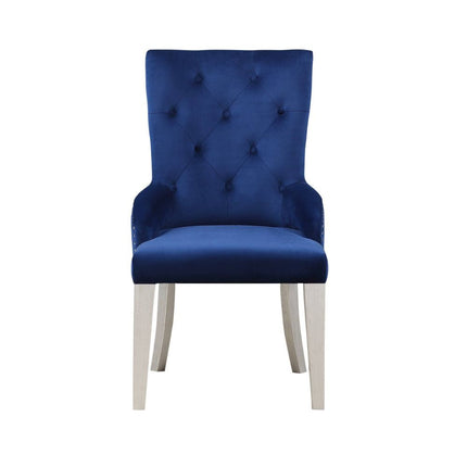 ACME 66162 Varian Side Chair (1 Piece), Blue Fabric & Antique Platinum