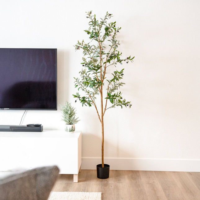Set of Two 72" Green Artificial Olive Trees in a Black Pots HomeRoots
