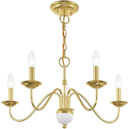 Five Light Dimmable Chandelier With Shades HomeRoots