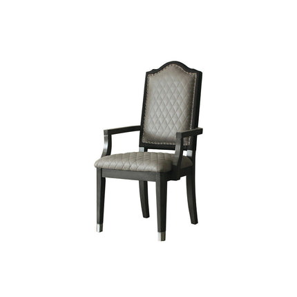 ACME House Beatrice Arm Chair (Set-2) - 68813  9