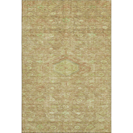 9' X 12' Terra Cotta And Artichoke Green Floral Washable Area Rug With UV Protection HomeRoots