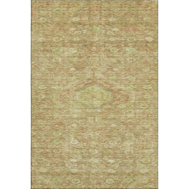 9' X 12' Terra Cotta And Artichoke Green Floral Washable Area Rug With UV Protection HomeRoots