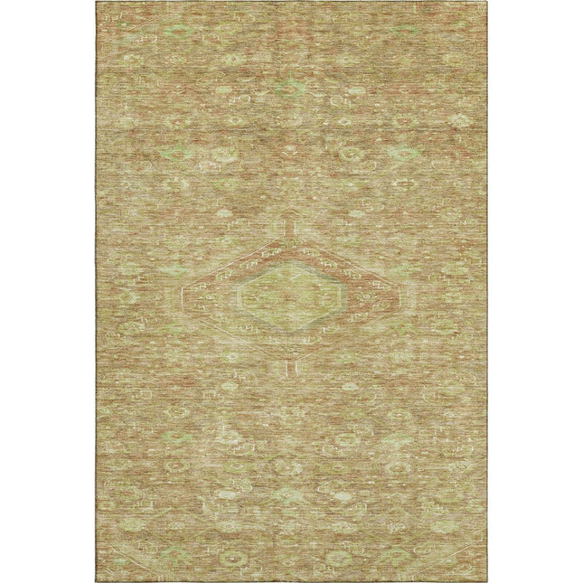 9' X 12' Terra Cotta And Artichoke Green Floral Washable Area Rug With UV Protection