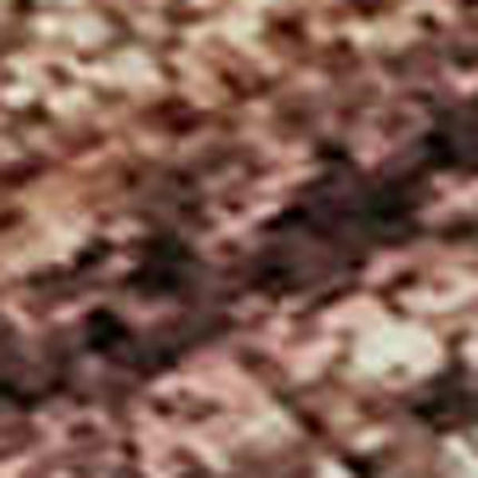 9' X 12' Terra Cotta And Rust Oriental Washable Area Rug With UV Protection HomeRoots