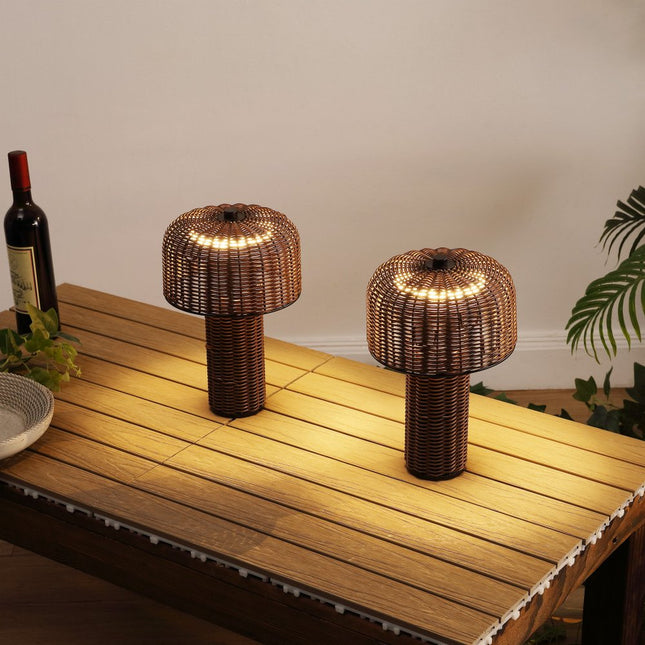 Set of Two 10" Clear USB Table Lamps With Globe Shades HomeRoots