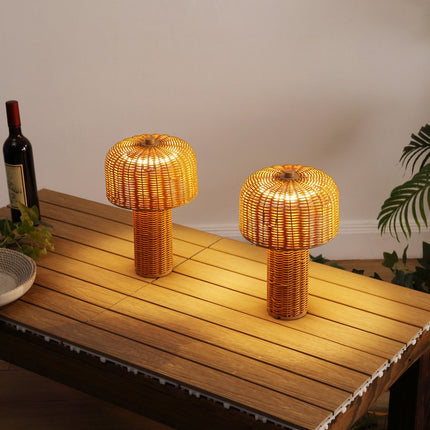 Set of Two 10" Clear USB Table Lamps With Globe Shades HomeRoots