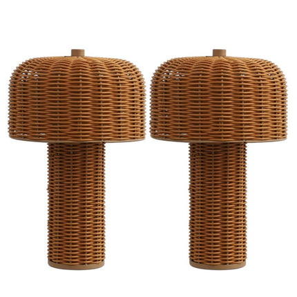 Set of Two 10" Clear USB Table Lamps With Globe Shades HomeRoots