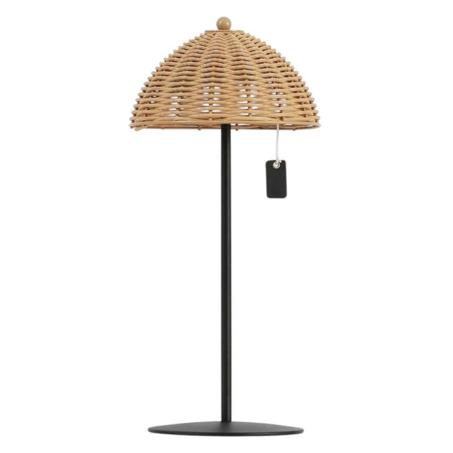Set of Two 13" Black Novelty USB Table Lamps With Globe Shades HomeRoots