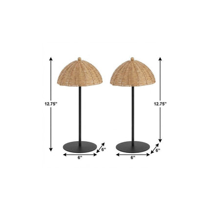 Set of Two 13" Black Novelty USB Table Lamps LED With Globe Shades HomeRoots