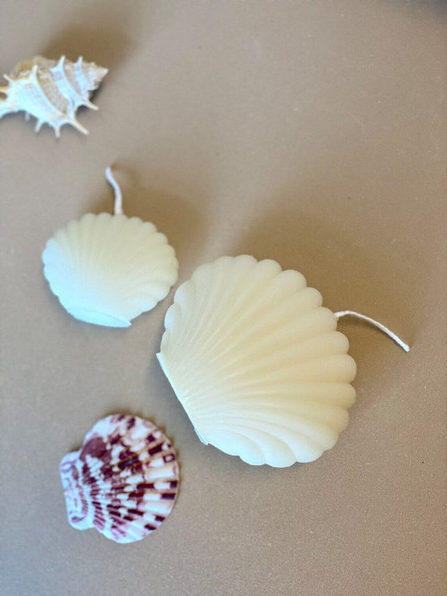 4" Ivory Black Ice Scented Dimensional Seashell Candle HomeRoots