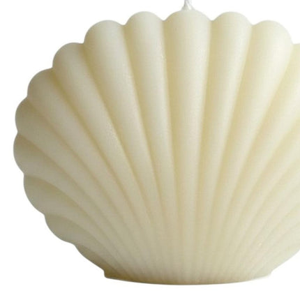 4" Ivory Black Ice Scented Dimensional Seashell Candle HomeRoots