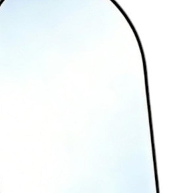 70" Black Aluminum Arch Freestanding And Wall Mounted Framed Full Length Mirror HomeRoots
