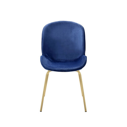 ACME 72947 Chuchip Side Chair (Set-2), Blue Velvet & Gold