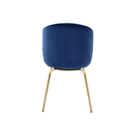 ACME 72947 Chuchip Side Chair (Set-2), Blue Velvet & Gold