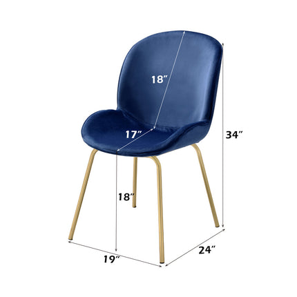 ACME 72947 Chuchip Side Chair (Set-2), Blue Velvet & Gold