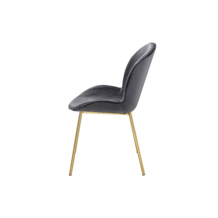 ACME 72948 Chuchip Side Chair (Set-2), Gray Velvet & Gold