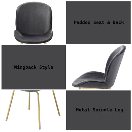 ACME 72948 Chuchip Side Chair (Set-2), Gray Velvet & Gold