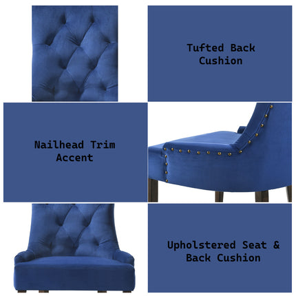 ACME 77165 Farren Side Chair, Blue Velvet & Espresso Finish
