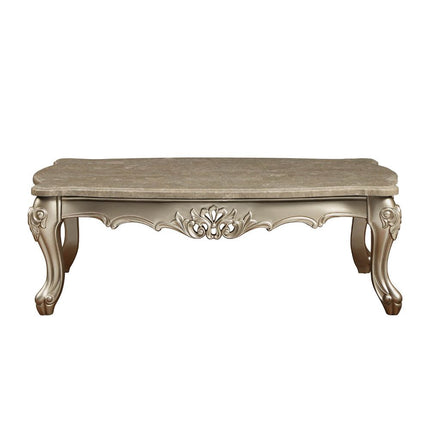 ACME 81040 Ranita Coffee Table, Marble & Champagne