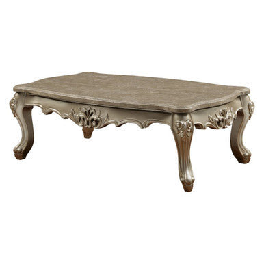 ACME 81040 Ranita Coffee Table, Marble & Champagne ACME Furniture