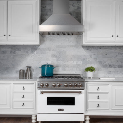 ZLINE 30" Designer Series Ducted Wall Mount Range Hood in Fingerprint Resistant Stainless Steel (8656S-30)