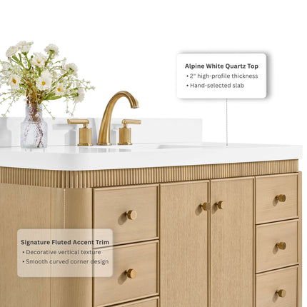 Aston 48" Bath Vanity Set Ancerre Designs