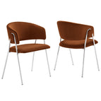 Rust Silver / Performance Velvet