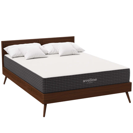 Modway MOD-5338 Aveline 10" Queen Mattress Modway