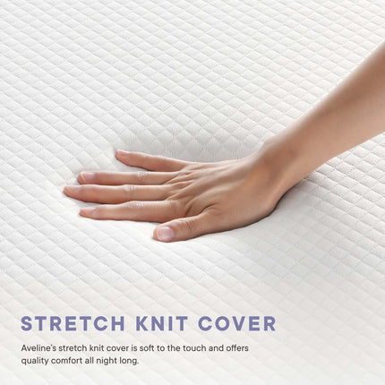 Modway MOD-5487 Aveline 10" Twin Mattress Modway