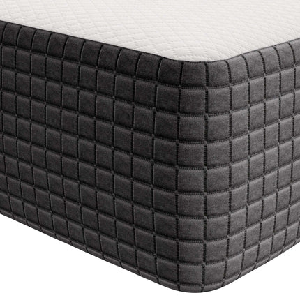 Modway MOD-5487 Aveline 10" Twin Mattress Modway