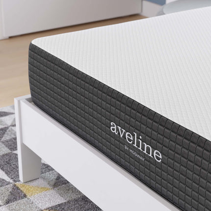 Modway MOD-5488 Aveline 10" Full Mattress Modway