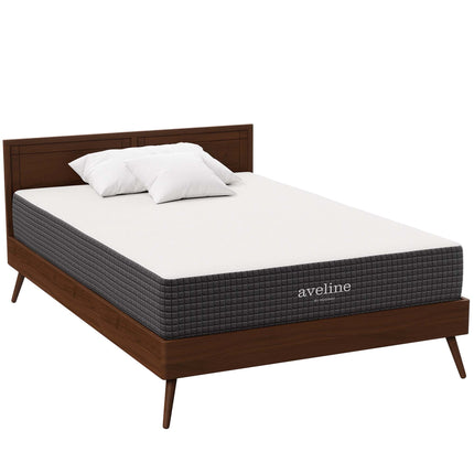 Modway MOD-5488 Aveline 10" Full Mattress Modway