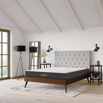 Modway MOD-5490 Aveline 8" King Mattress Modway