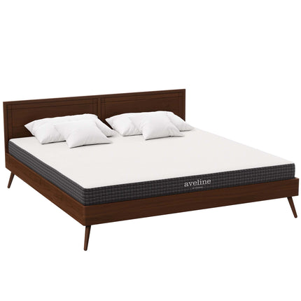 Modway MOD-5491 Aveline 6" King Mattress Modway