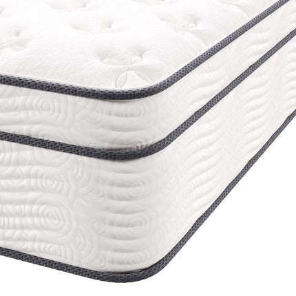 Modway MOD-6084 Jenna 14" Innerspring and Foam Queen Mattress Modway
